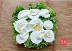 Illustration of how to make tuna cheese sandwich 9