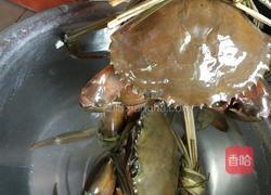 辣味螃蟹的做法图解2