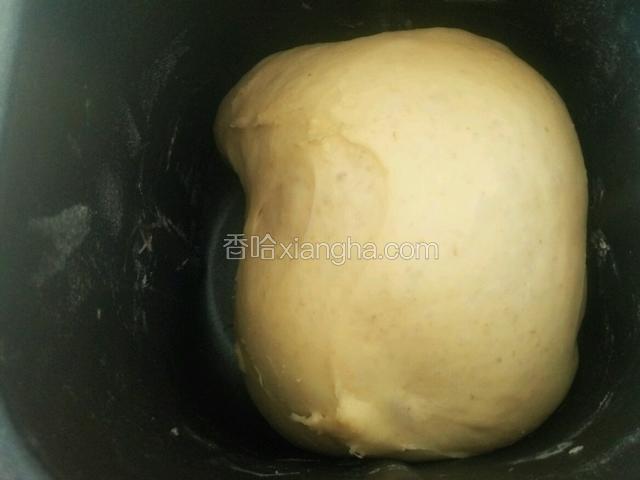 第二天早上 发酵至2.5倍大就可以操作了