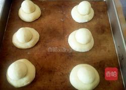 全麦布里欧修的做法图解10