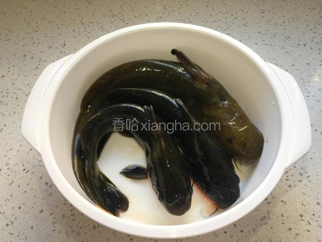 黄颡鱼去鳃和内脏冲洗干净备用。