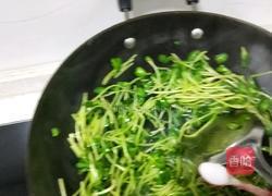 炒豌豆苗的做法图解4