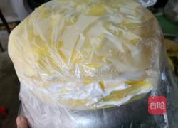 芒果千层的做法图解11