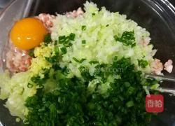 白菜猪肉水饺的做法图解4