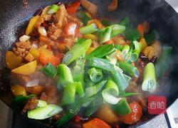 胡萝卜土豆闷肉的做法图解10