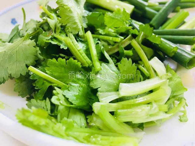 香菜洗净切段