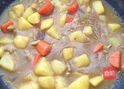 咖喱鸡肉土豆的做法图解7