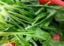 清炒菠菜的做法图解1