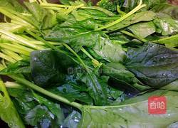 清炒菠菜的做法图解3
