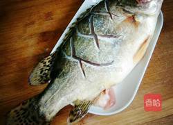 清蒸桂鱼的做法图解1
