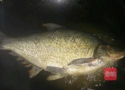 如意吉祥红烧武昌鱼的做法图解2