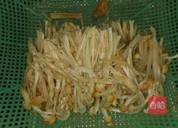 凉拌金针菇的做法图解1