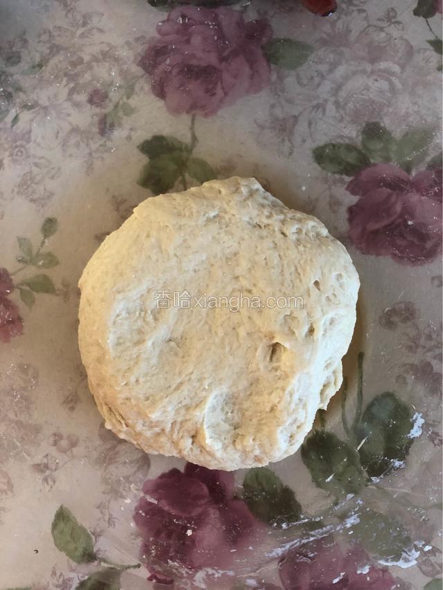 用硅胶铲搅拌均匀，再用手揉成面团。