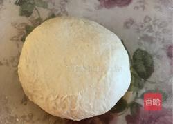 椰蓉叶子面包的做法图解4