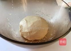 椰蓉叶子面包的做法图解8