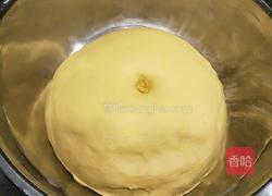 南瓜情吕龍的做法图解6