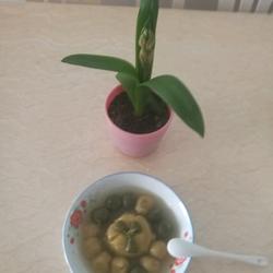 红薯和抹菜汤园的做法[图]