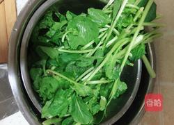 苔菜粉条的做法图解1