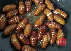 炒蚕蛹的做法图解2