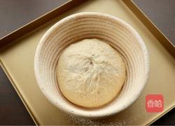 全麦乡村欧包的做法图解11