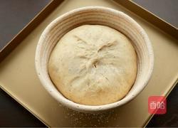 全麦乡村欧包的做法图解12