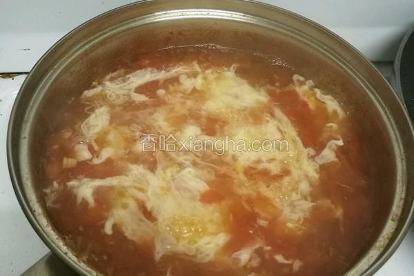 tomato eggs soup 番茄鸡蛋汤