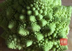 红海宝塔菜的做法图解1