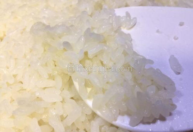 如图所示糯米蒸成这样糯米饭就蒸好了