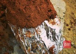 自制研究的叫花鸡的做法图解5