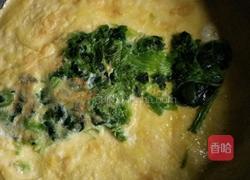 菠菜鸡蛋玉米面卷的做法图解4