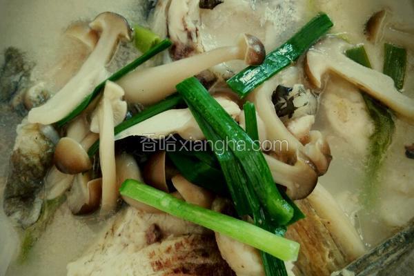 蘑菇花鲢鱼头汤