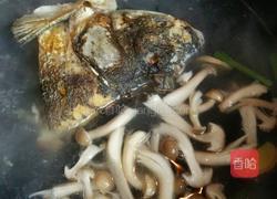 蘑菇花鲢鱼头汤的做法图解6