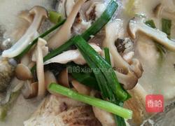 蘑菇花鲢鱼头汤的做法图解10