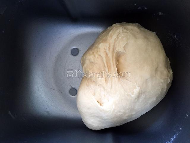 揉面30分钟后第一次发酵