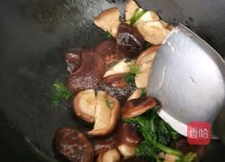 蘑菇炒菠菜的做法图解6