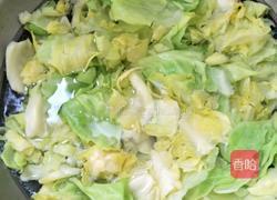 手撕包菜的做法图解1
