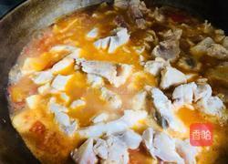 番茄鱼片的做法图解10