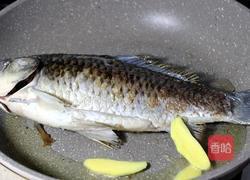 鲜菇鲫鱼汤的做法图解3