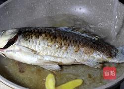 鲜菇鲫鱼汤的做法图解4