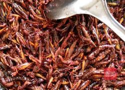 油炸蚂蚱的做法图解12