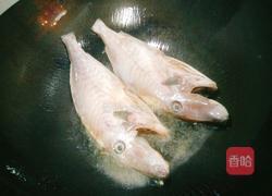 红烧橡皮鱼的做法图解2