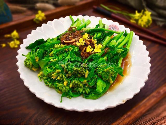 ~蚝油蒜泥田野油菜花