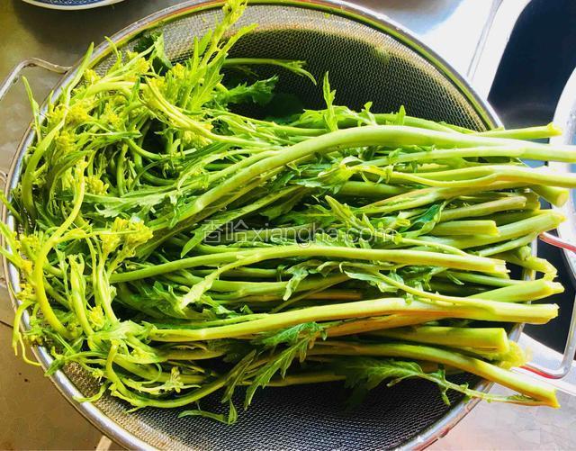 准备好鲜嫩的油菜花苔，掐去老头和开傻的花朵，花蕊不要去掉。