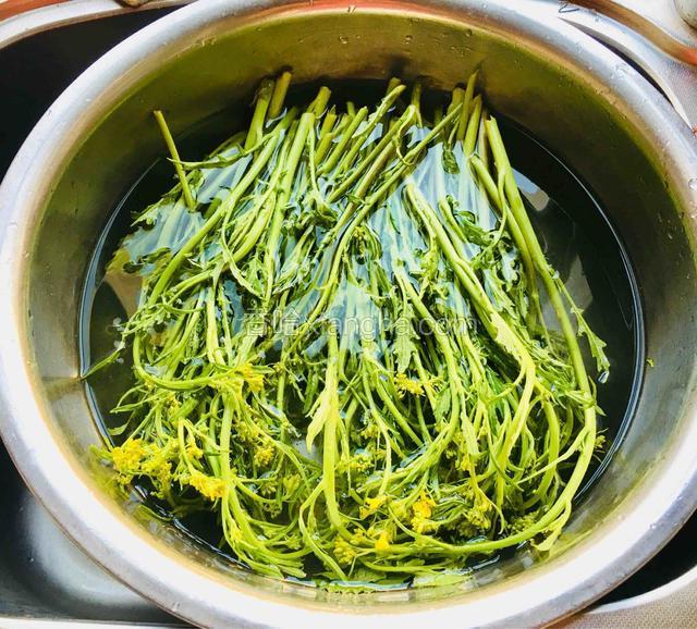 将油菜花苔放入水中浸泡一会儿洗干净。