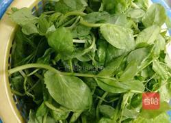 彩色馄炖的做法图解3