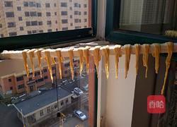 自制腐竹的做法图解19