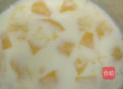 木瓜牛奶的做法图解3