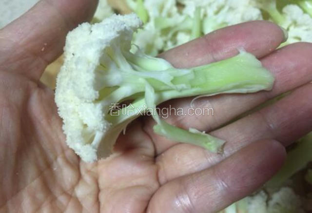 先取一煮锅加入半锅水准备焯花菜的水 ，同时把花菜分小朵，径部分去皮（这点随意，可不去皮）后洗净沥水