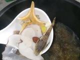 海麻雀海星海底椰炖瘦肉的做法[图]