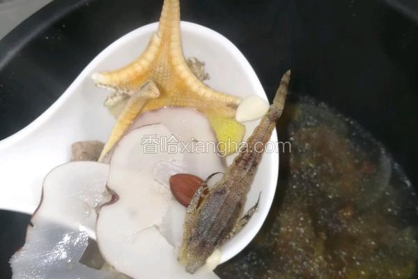 海麻雀海星海底椰炖瘦肉